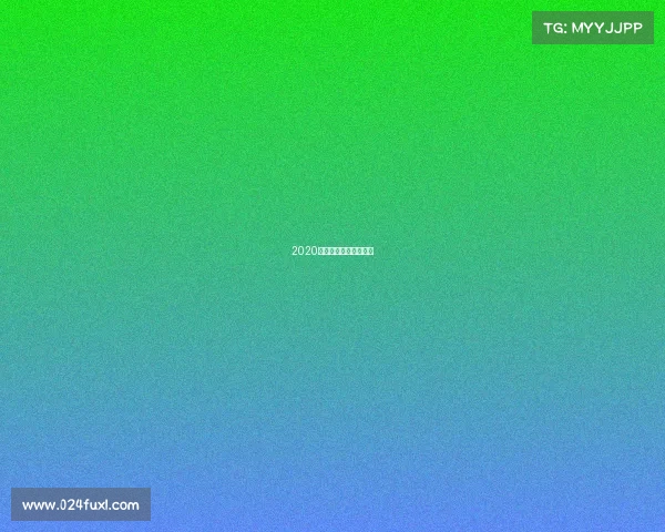 2020年上海国际赛车场赛事